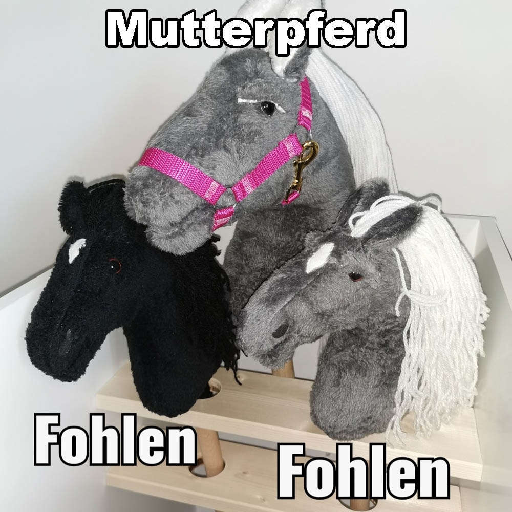 shop-hobby-horsing-berlin